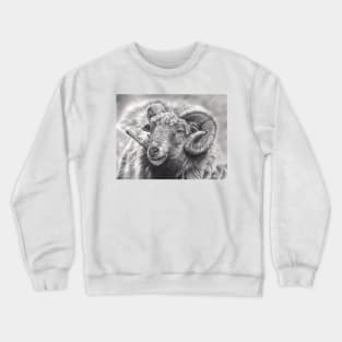 Aries Crewneck Sweatshirt